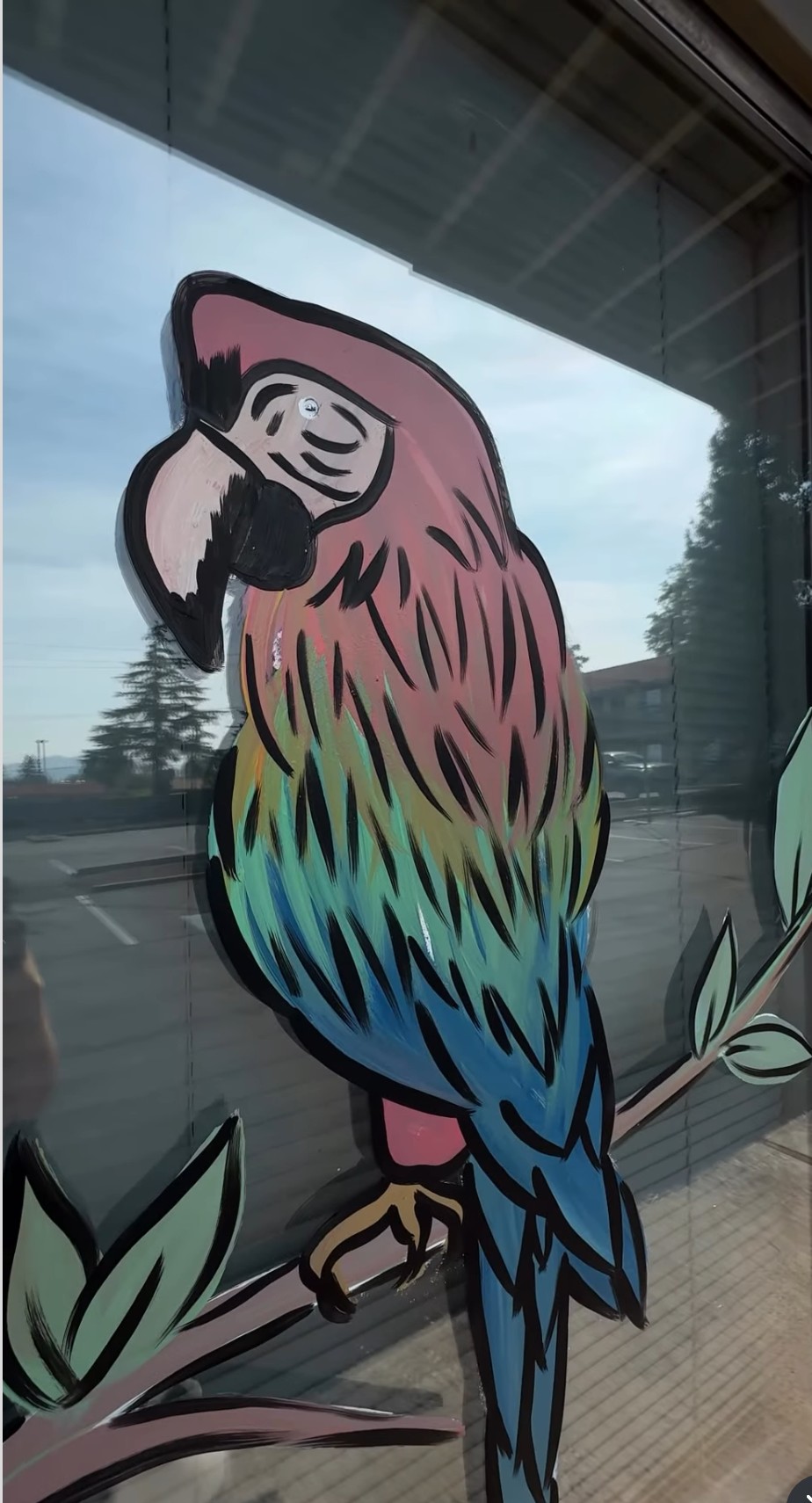 Rainbow macaw from Katie Paige Art Co’s last summer window set